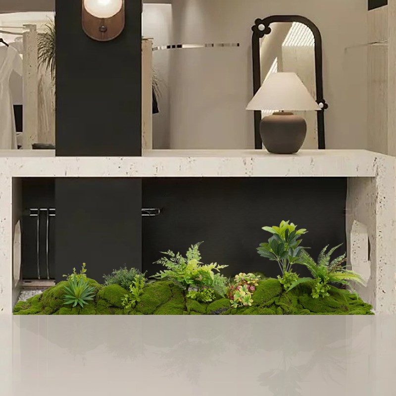 仿真绿植造景组合室内玄s关角落蕨类植物装饰橱柜仿生苔藓景观布
