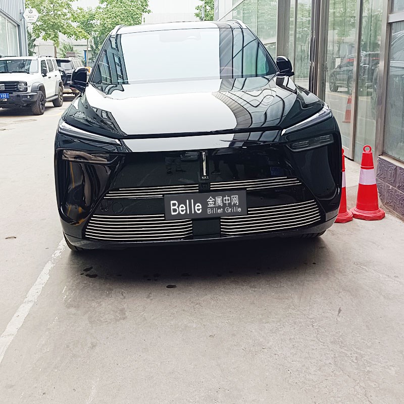 魏牌蓝山防虫网前脸改装件专用金属中网J外观装饰条保险杠亮条配