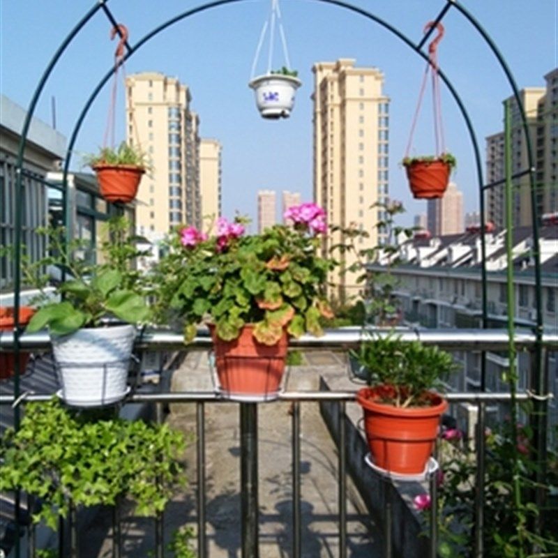 攀援蔬菜爬e藤架蔷薇葡藤蔓搭架加固铁艺婚庆拱门地面花架,鲜花速递/花卉仿真/绿植园艺,其它园艺用品,淘宝优惠券,粉丝福利购,淘宝优惠卷