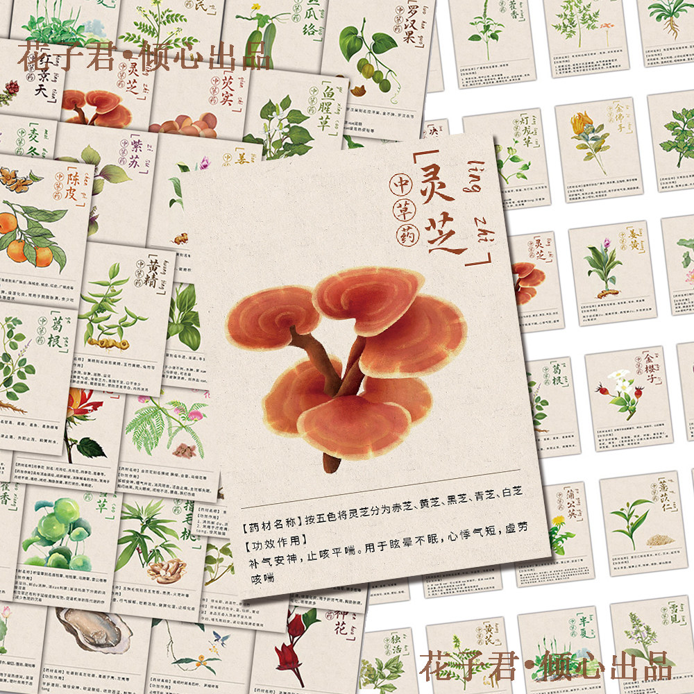 126张每日识一味中草药贴纸简约中医药理学草药功效图鉴贴画diy