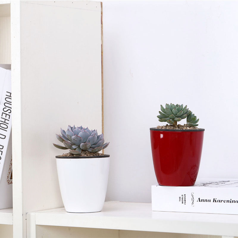 烤漆塑料小花盆 圆形双层懒人自动吸水室内桌面绿植多肉创意园艺,鲜花速递/花卉仿真/绿植园艺,花盆,淘宝优惠券,粉丝福利购,淘宝优惠卷