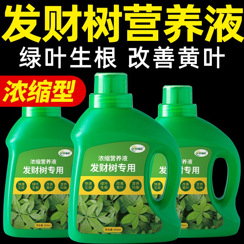 发财树营养液室内专用肥水培客厅大盆栽治叶发黄掉叶花肥料养植物