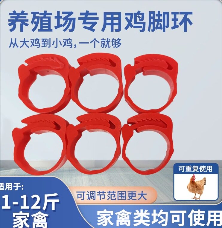 鸡脚环卡扣式鸡用记号脚圈防脱落鸡鸭鹅禽类可重复使用鸡脚环套