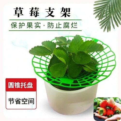 草莓立体水培防烂透气栽培架