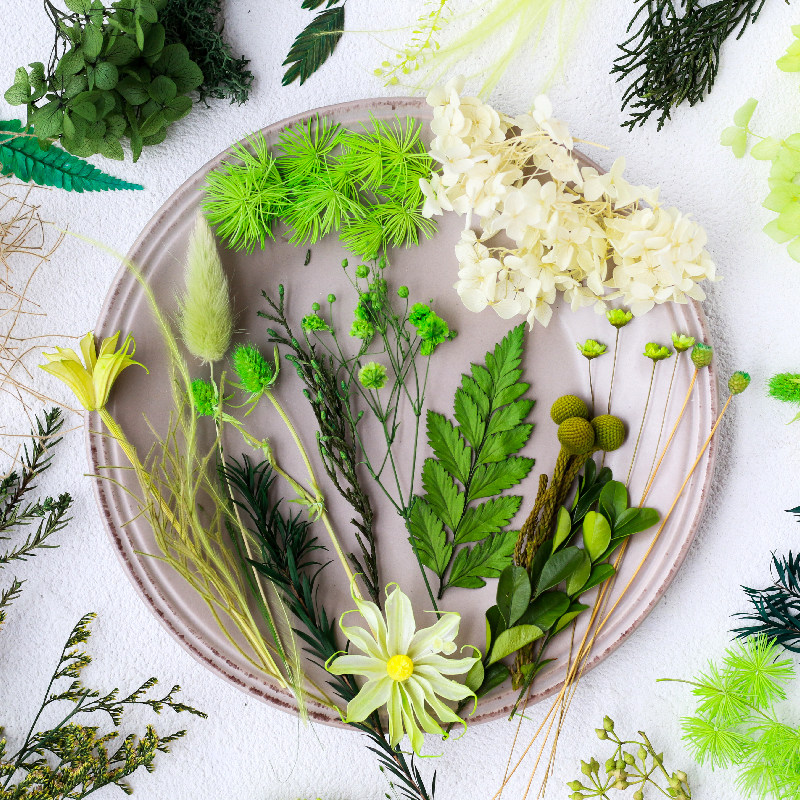 绿色永生花天然植物干花diy手工材料绣球花千层金树叶伴手礼装饰