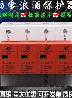 雷太LY1-B60-100KA/4P三相配电箱浪涌电涌保护器 SPD避防雷器模块