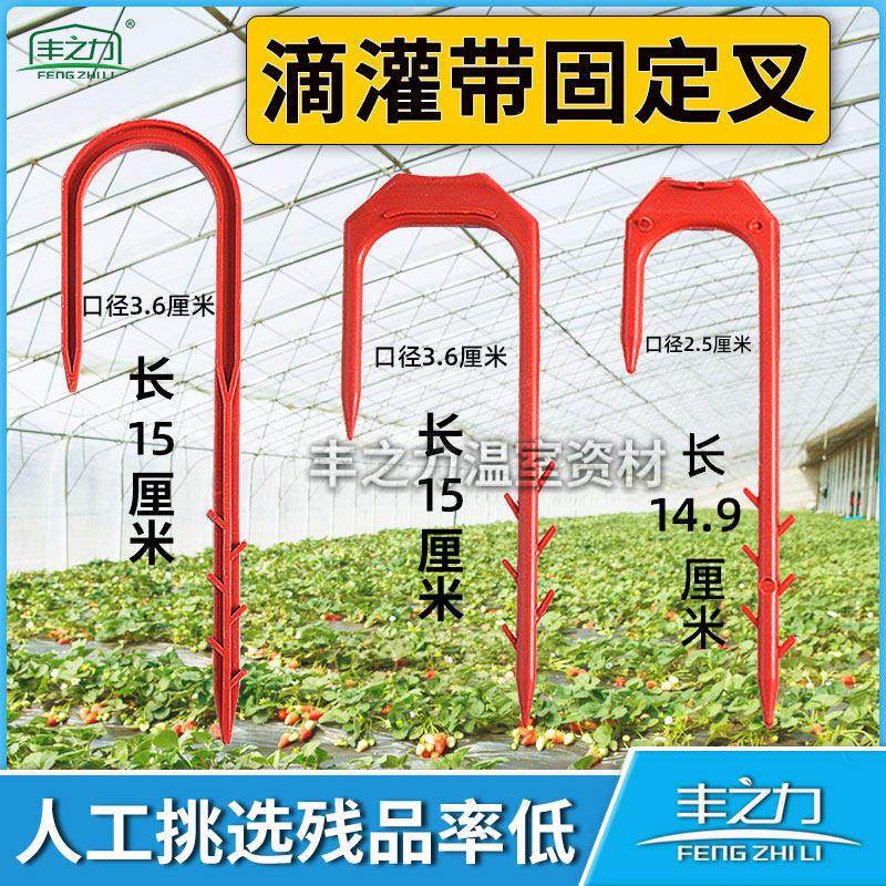 滴灌固定器滴灌带叉子微喷带固定叉蔬菜草莓大棚喷水带压管神器长