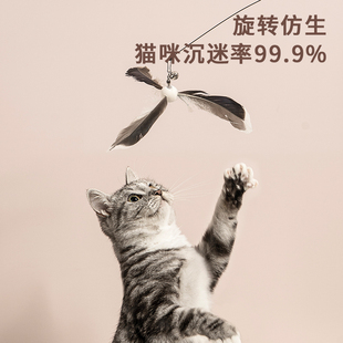 速发猫玩具逗猫棒自嗨解长神器带吸咪闷杆小猫盘玩的幼猫用品大全