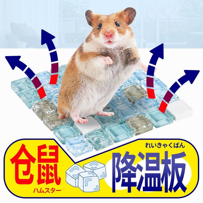 宠尚天仓鼠夏天降温用品消暑散热板宠物夏季专用冰兔子凉席木屋,宠物/宠物食品及用品,散热板,淘宝优惠券,粉丝福利购,淘宝优惠卷