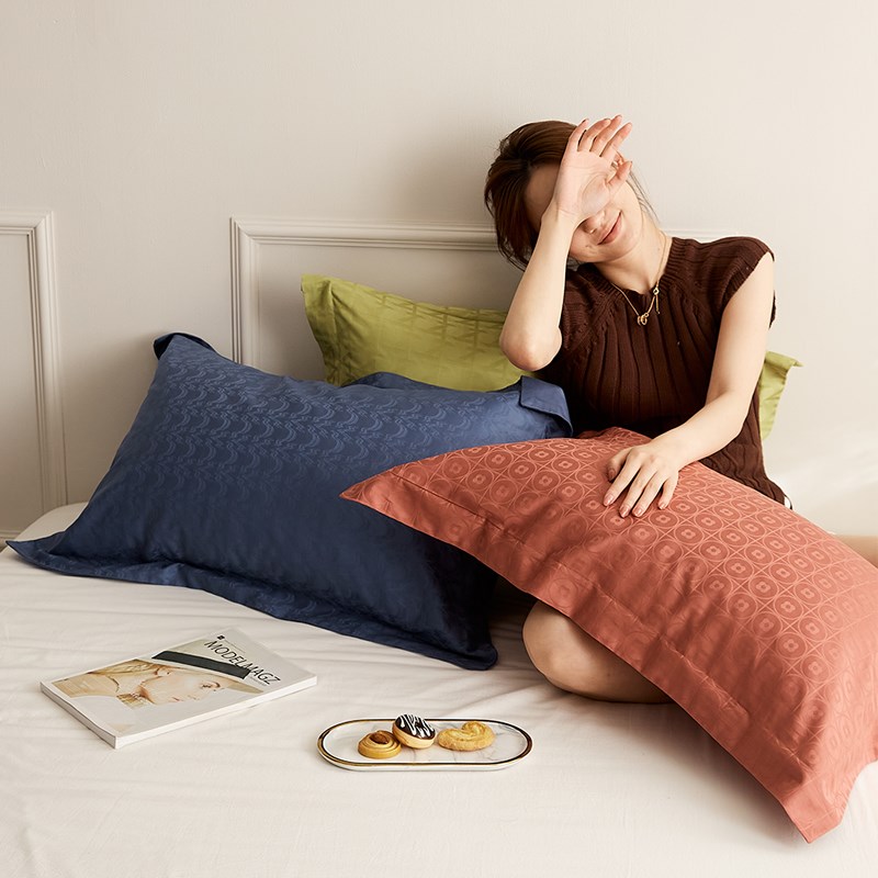 轻奢100支长绒棉纯棉提花枕套一对装全棉枕头套单人枕芯套48x74cm