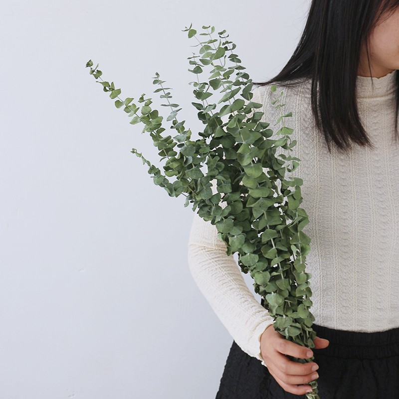 北欧极简尤加利圆叶风干真花干树枝客厅节日长款落地装饰拍摄道具