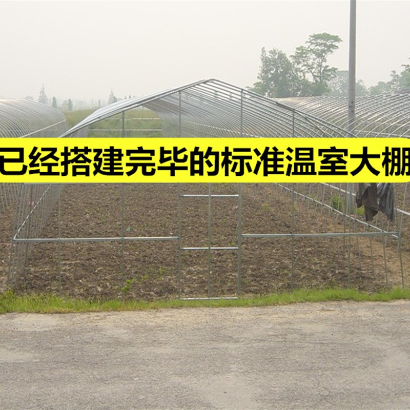 大棚骨架钢管全套温室养殖种植蔬菜花卉棚农业连体连栋椭圆管定制