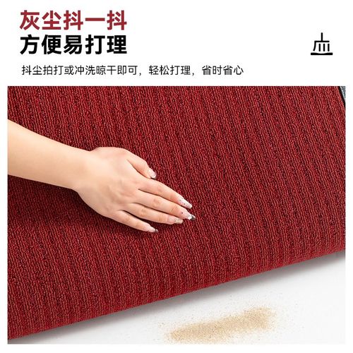 地垫入户门垫进门地毯大门口吸水防滑脚垫家用轻奢可裁剪玄关垫子