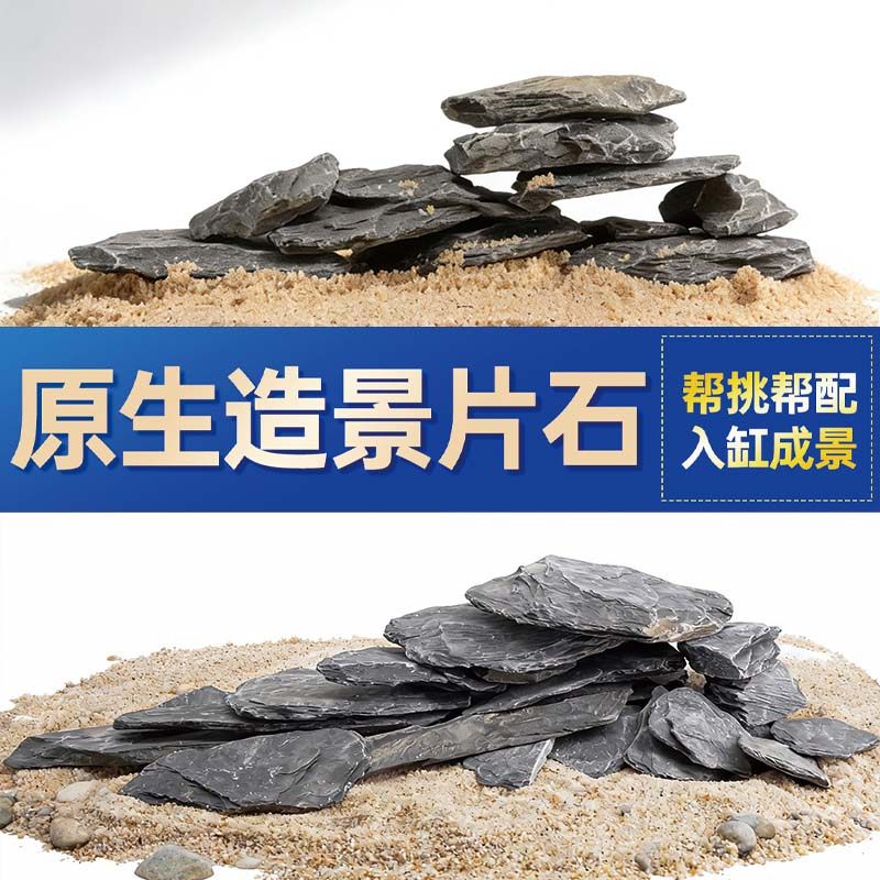 鱼缸造景石头青龙石原生溪流片石黑金石松皮石乌龟南美缸草缸装饰,宠物/宠物食品及用品,造景/装饰,淘宝优惠券,粉丝福利购,淘宝优惠卷