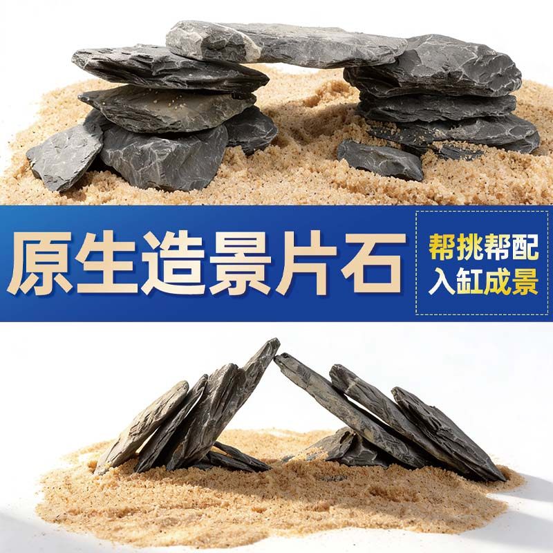 鱼缸造景石头青龙石原生溪流片石黑金石松皮石乌龟南美缸草缸装饰,宠物/宠物食品及用品,造景/装饰,淘宝优惠券,粉丝福利购,淘宝优惠卷