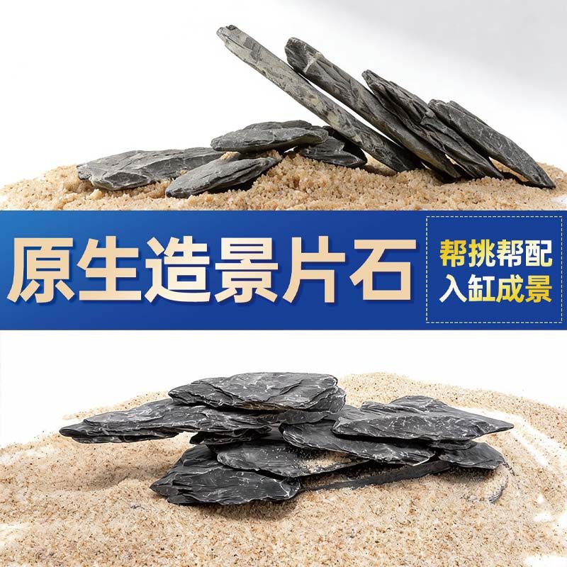 鱼缸造景石头青龙石原生溪流片石黑金石松皮石乌龟南美缸草缸装饰,宠物/宠物食品及用品,造景/装饰,淘宝优惠券,粉丝福利购,淘宝优惠卷