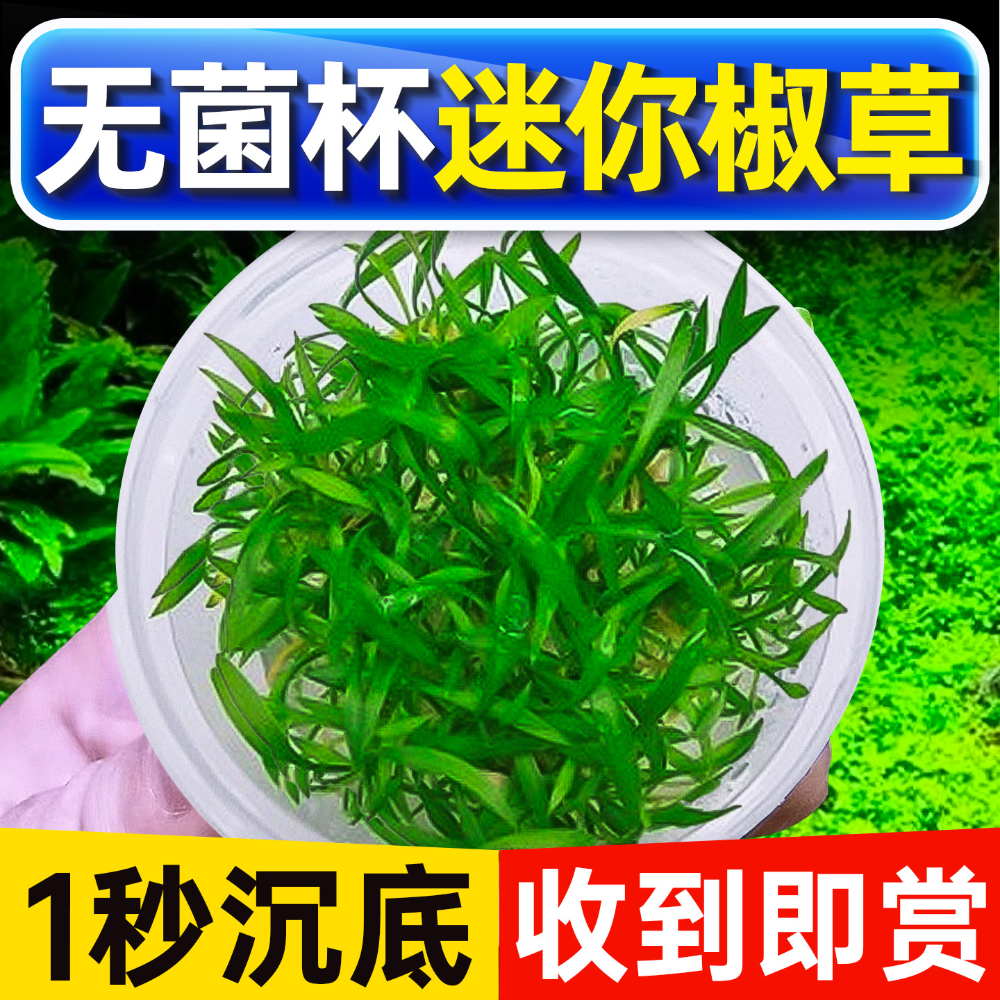 海洛伊鱼缸专用无菌杯