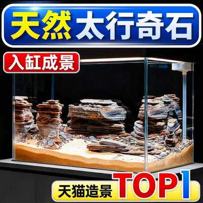 海洛伊鱼缸造景石入缸成景