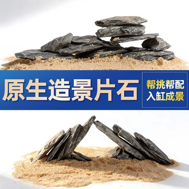 鱼缸造景石头青龙石原生溪流片石黑金石松皮石乌龟南美缸草缸装饰,宠物/宠物食品及用品,造景/装饰,淘宝优惠券,粉丝福利购,淘宝优惠卷