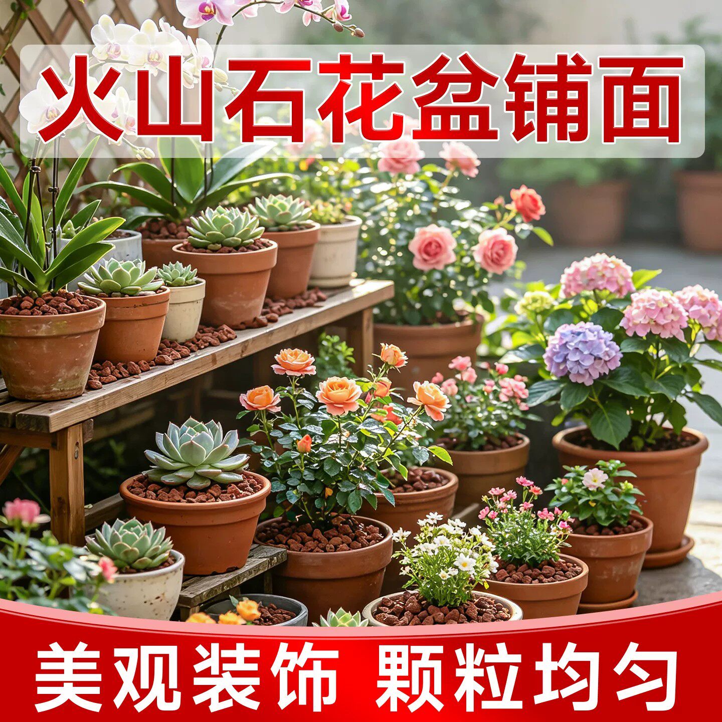 火山石花盆铺面透气防烂根底砂石头乌龟缸养鱼水草泥天然底部砂石