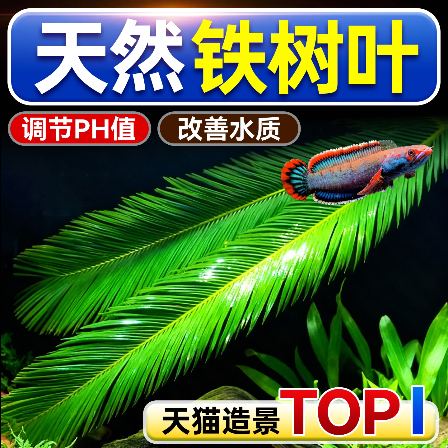 天然铁树叶沉叶鱼缸造景南美缸原生缸装饰树叶网红沉叶新鲜树叶