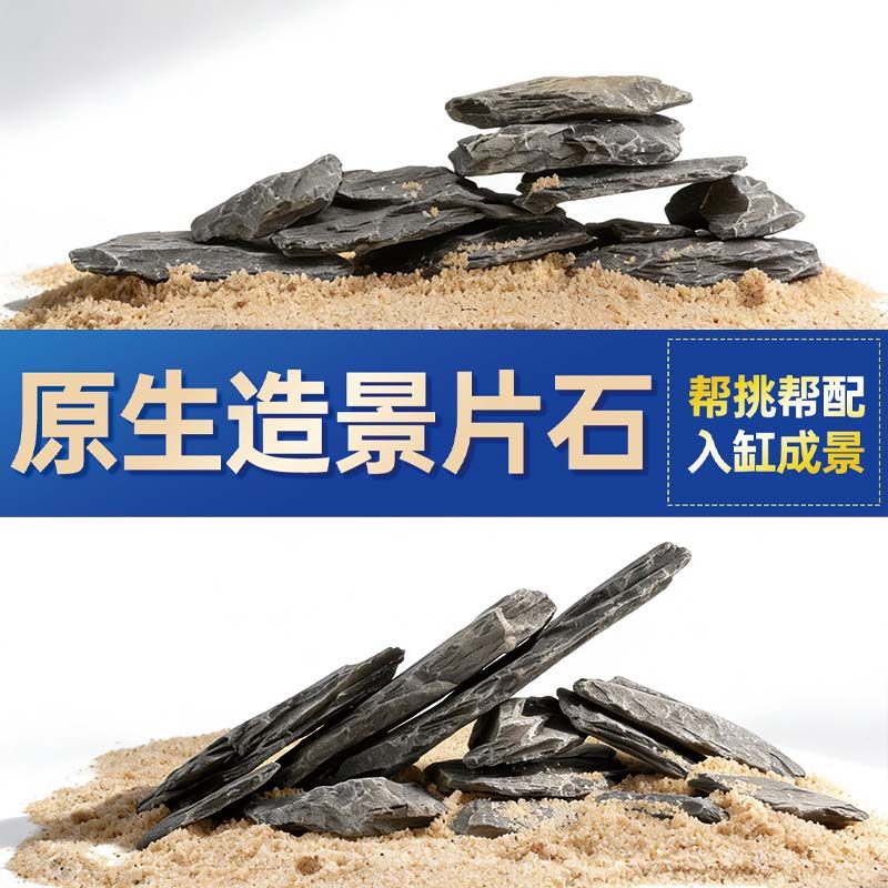 鱼缸造景石头青龙石原生溪流片石黑金石松皮石乌龟南美缸草缸装饰,宠物/宠物食品及用品,造景/装饰,淘宝优惠券,粉丝福利购,淘宝优惠卷