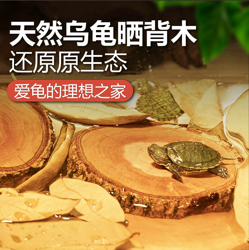 天然龙眼木乌龟晒台龟缸造景沉木摆件免煮龙眼绿叶养龟休息晒背台,宠物/宠物食品及用品,造景/装饰,淘宝优惠券,粉丝福利购,淘宝优惠卷