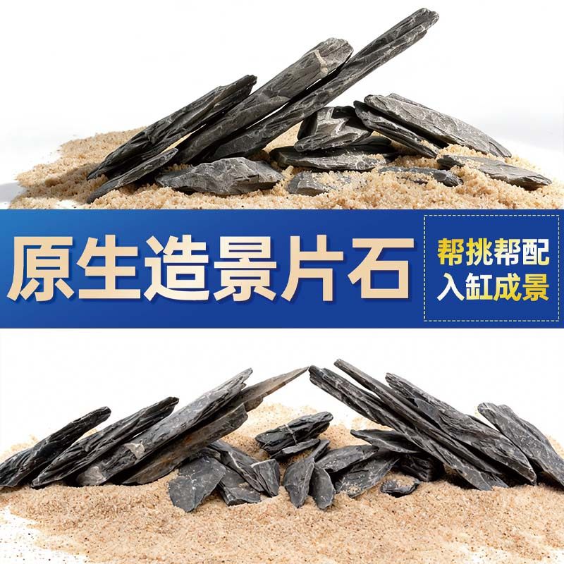 鱼缸造景石头青龙石原生溪流片石黑金石松皮石乌龟南美缸草缸装饰,宠物/宠物食品及用品,造景/装饰,淘宝优惠券,粉丝福利购,淘宝优惠卷