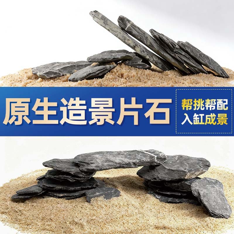 鱼缸造景石头青龙石原生溪流片石黑金石松皮石乌龟南美缸草缸装饰,宠物/宠物食品及用品,造景/装饰,淘宝优惠券,粉丝福利购,淘宝优惠卷