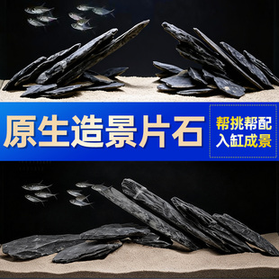 鱼缸造景石头青龙石原生溪流片石黑金石松皮石乌龟南美缸草缸装饰