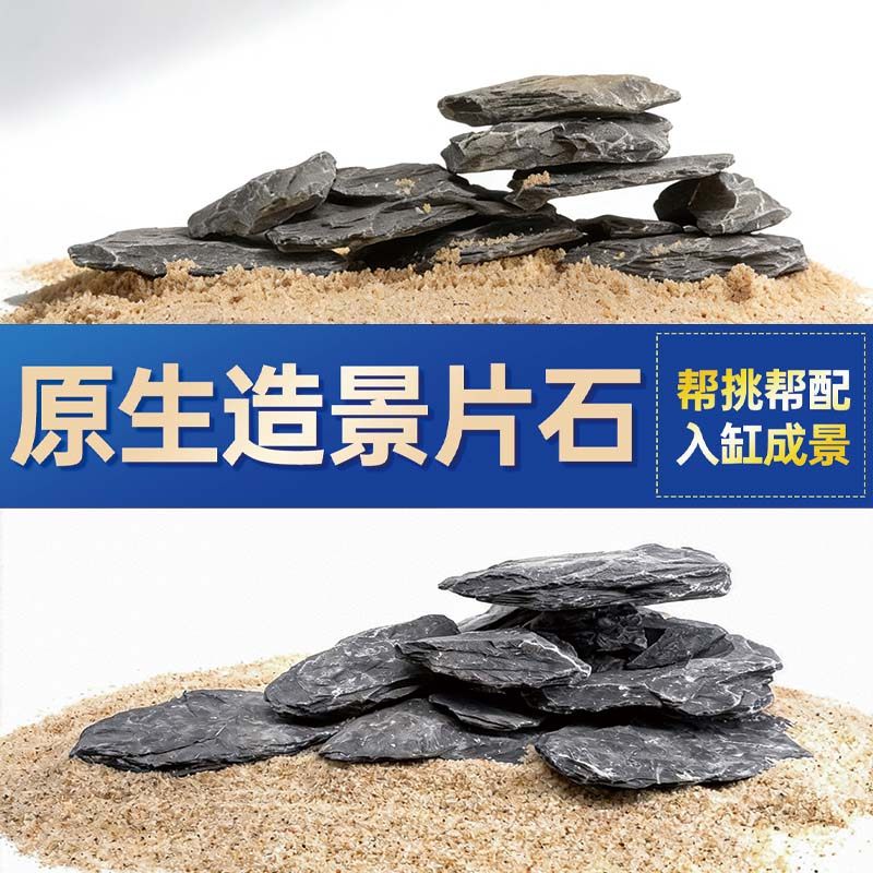 鱼缸造景石头青龙石原生溪流片石黑金石松皮石乌龟南美缸草缸装饰,宠物/宠物食品及用品,造景/装饰,淘宝优惠券,粉丝福利购,淘宝优惠卷