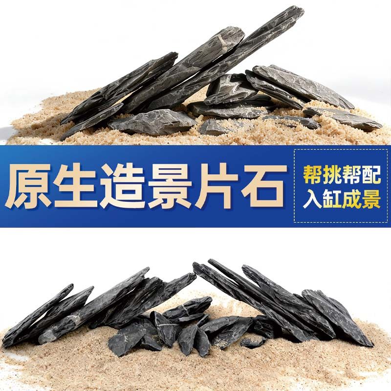 鱼缸造景石头青龙石原生溪流片石黑金石松皮石乌龟南美缸草缸装饰,宠物/宠物食品及用品,造景/装饰,淘宝优惠券,粉丝福利购,淘宝优惠卷