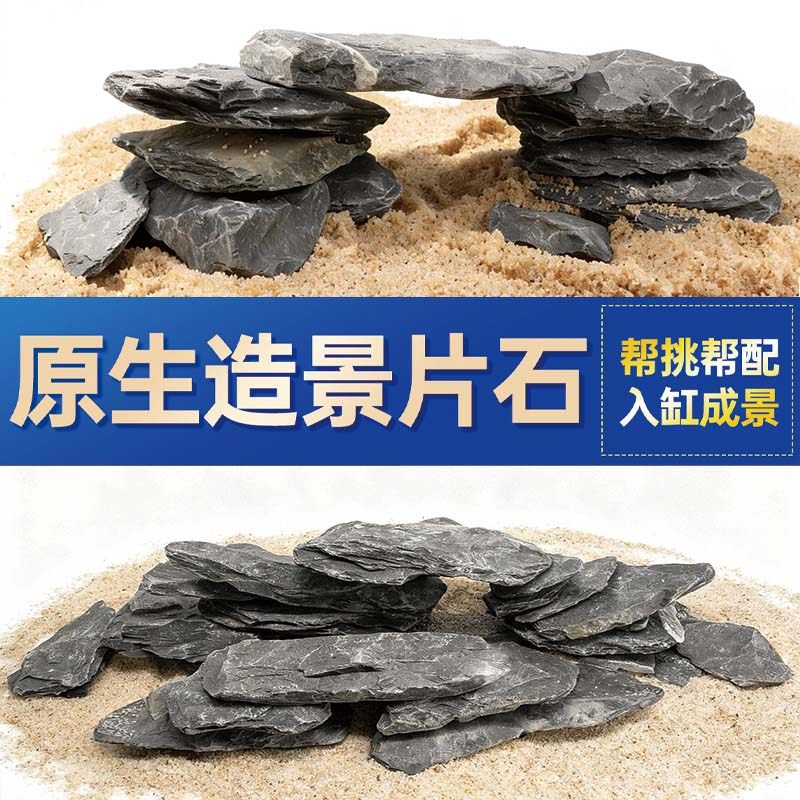 鱼缸造景石头青龙石原生溪流片石黑金石松皮石乌龟南美缸草缸装饰,宠物/宠物食品及用品,造景/装饰,淘宝优惠券,粉丝福利购,淘宝优惠卷