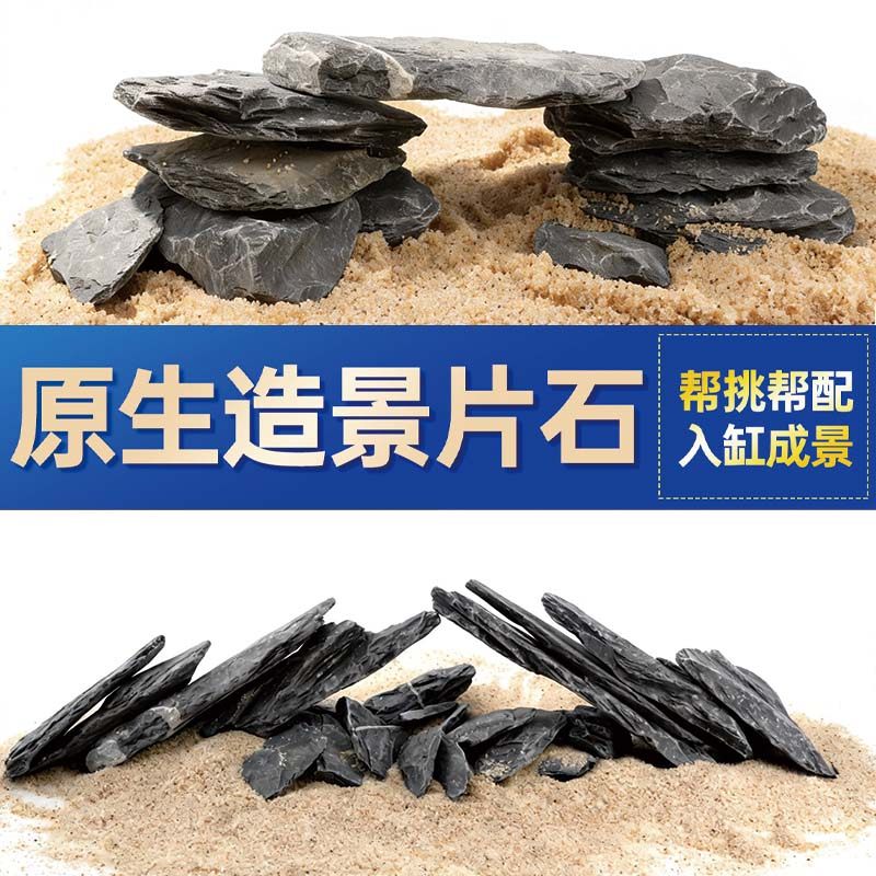 鱼缸造景石头青龙石原生溪流片石黑金石松皮石乌龟南美缸草缸装饰,宠物/宠物食品及用品,造景/装饰,淘宝优惠券,粉丝福利购,淘宝优惠卷