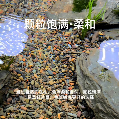 免洗天然溪流石头底部鱼缸造景