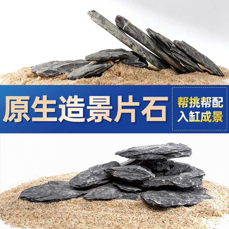 鱼缸造景石头青龙石原生溪流片石黑金石松皮石乌龟南美缸草缸装饰,宠物/宠物食品及用品,造景/装饰,淘宝优惠券,粉丝福利购,淘宝优惠卷