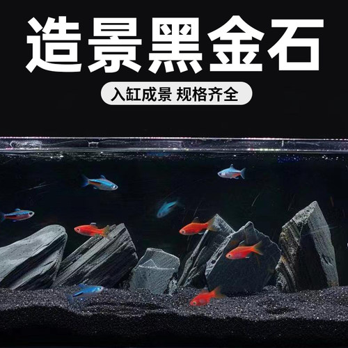 海洛伊天然黑金石入缸成景