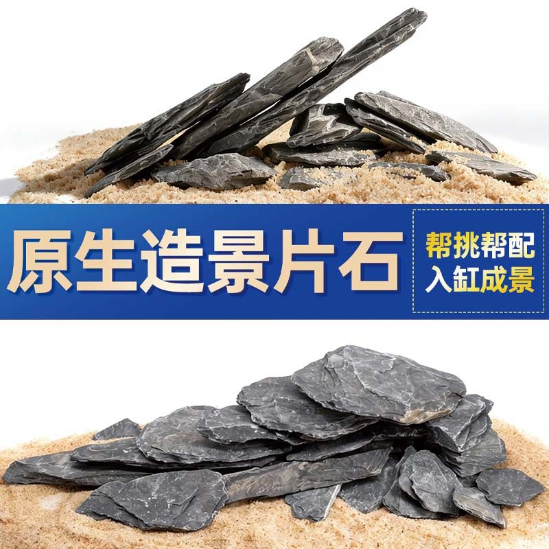 鱼缸造景石头青龙石原生溪流片石黑金石松皮石乌龟南美缸草缸装饰,宠物/宠物食品及用品,造景/装饰,淘宝优惠券,粉丝福利购,淘宝优惠卷
