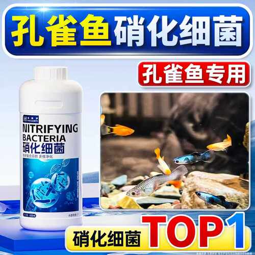 海洛伊硝化细菌净水培菌改善水质