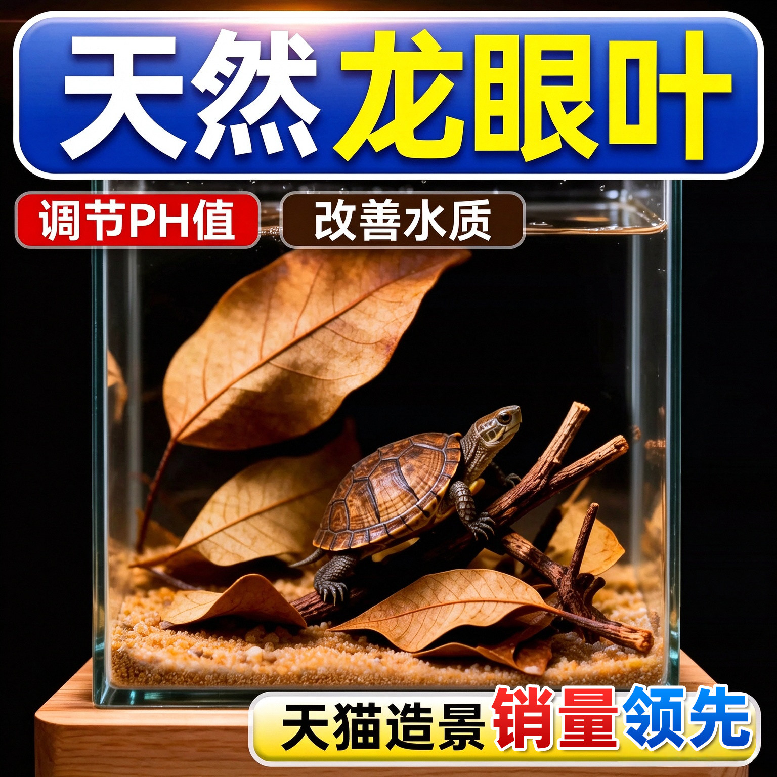 养龟免煮龙眼叶干腐皮烂甲调节水质乌龟躲避鱼缸龟缸生态植物造景