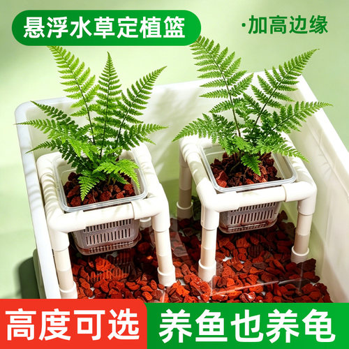 鱼缸水草定植造景专用定植篮