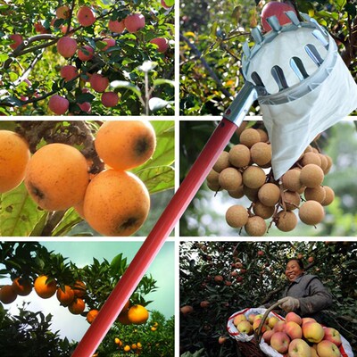 好货Metal Fruit Picker Orchard Gardening  Peach High e Picki