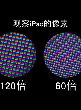 极速日本 KENKO/肯高 便携式显微镜STV-120M儿童观察科学实验现货