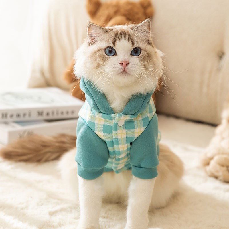 速发小衣服秋冬季保猫两脚连帽可牵引卫衣小猫暖咪冬天的服饰