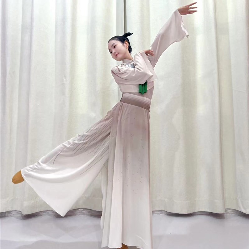 速发目南舞韵鸟蹈剧江服装玉舞舞蹈服装