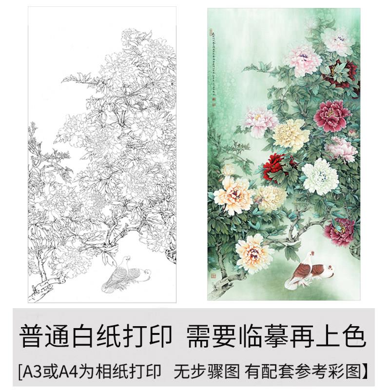大彩图】工笔画打印白描底稿李晓明竖幅牡丹花鸟初学者临摹透稿
