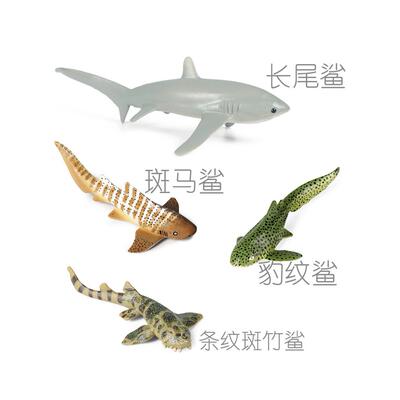 硬塑料长尾鲨仿真模型斑马鲨豹纹鲨儿童认知条纹斑竹鲨小鲨鱼玩具