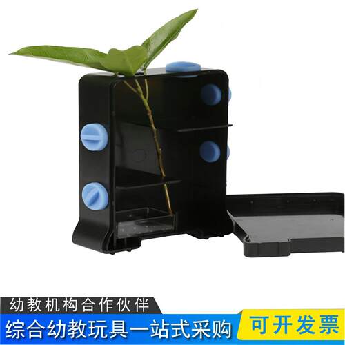 儿童科学教育动手实验套装幼儿园认知向光性成长玩具植物趋光盒