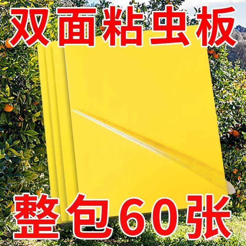双面粘虫板果蝇诱捕器20*10