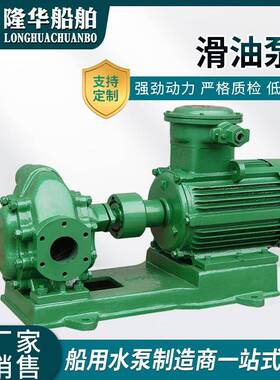 供应滑油泵船用齿轮ycb系列防爆高压齿轮泵微型不锈钢泵可